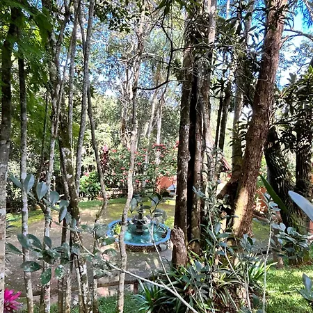 Pousada Chalé da Mata - Circuito Caravaggio, Santa Teresa-3