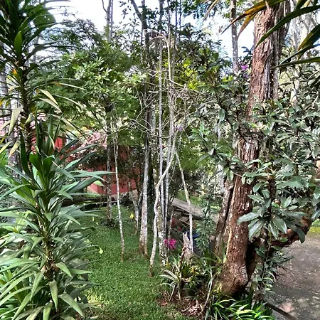 Pousada Chalé da Mata - Circuito Caravaggio, Santa Teresa-2